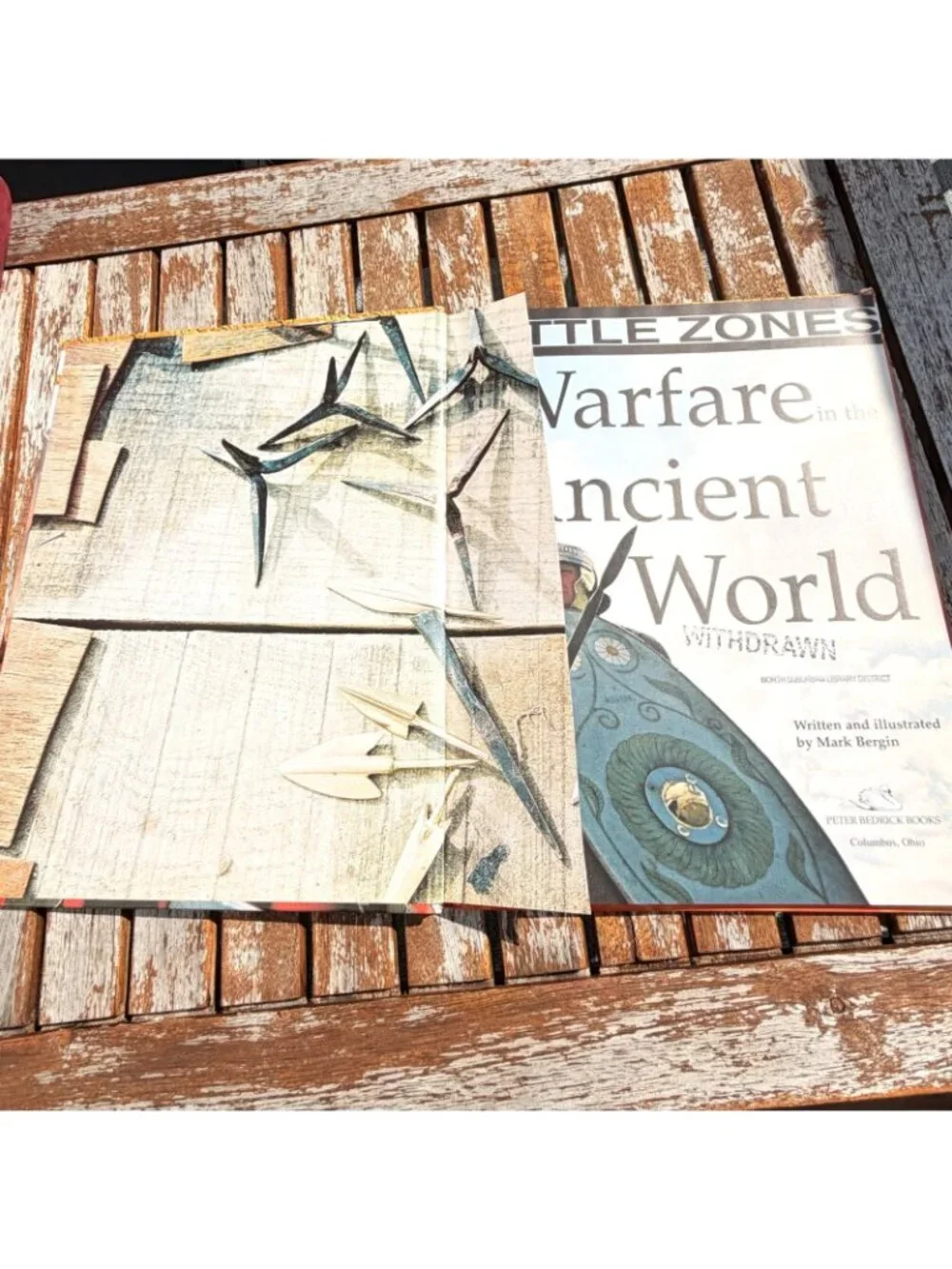 Warfare in the Ancient World Egypt Greece Rome Mark Bergin Homeschool History